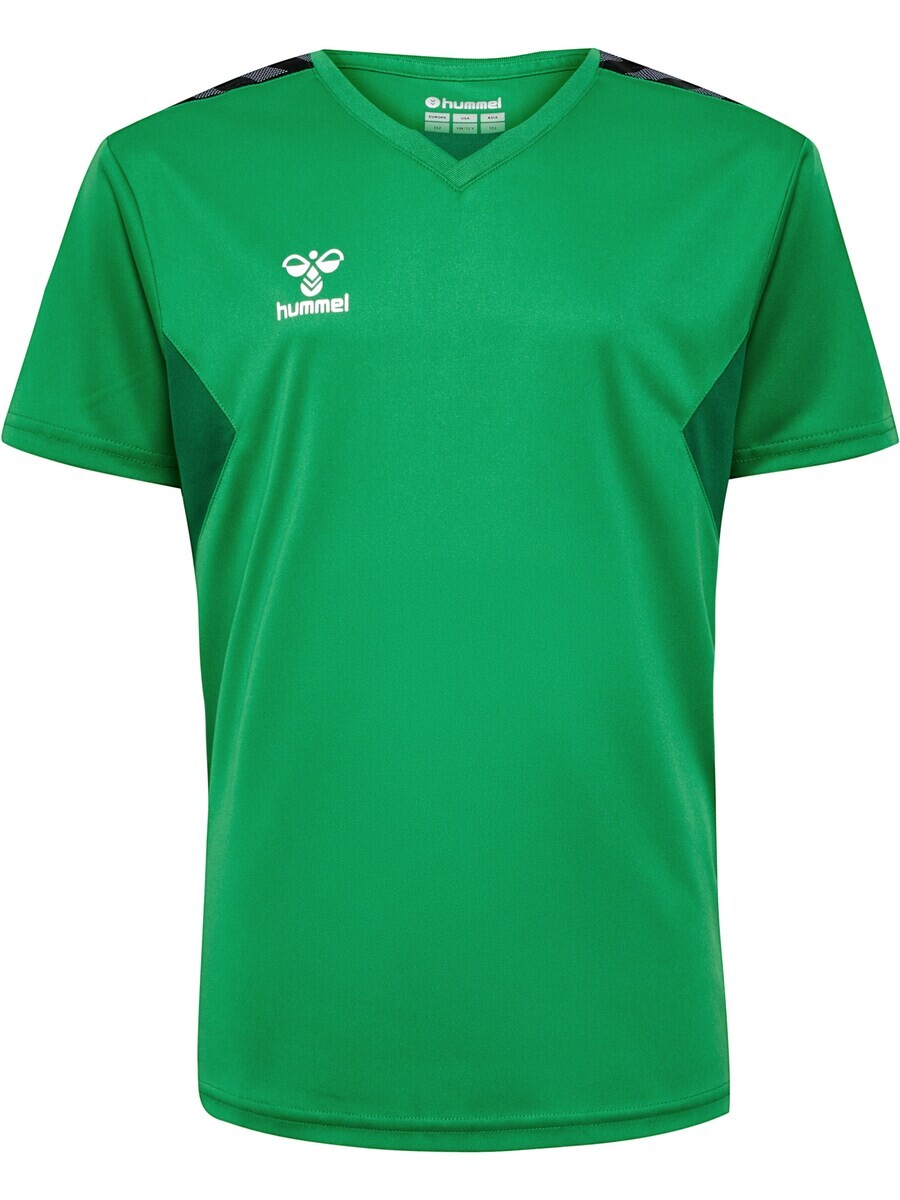 Спортивная футболка Hummel Performance Authentic, зеленый/темно-зеленый
Спортивная футболка Hummel Performance Authentic, зеленый/темно-зеленый