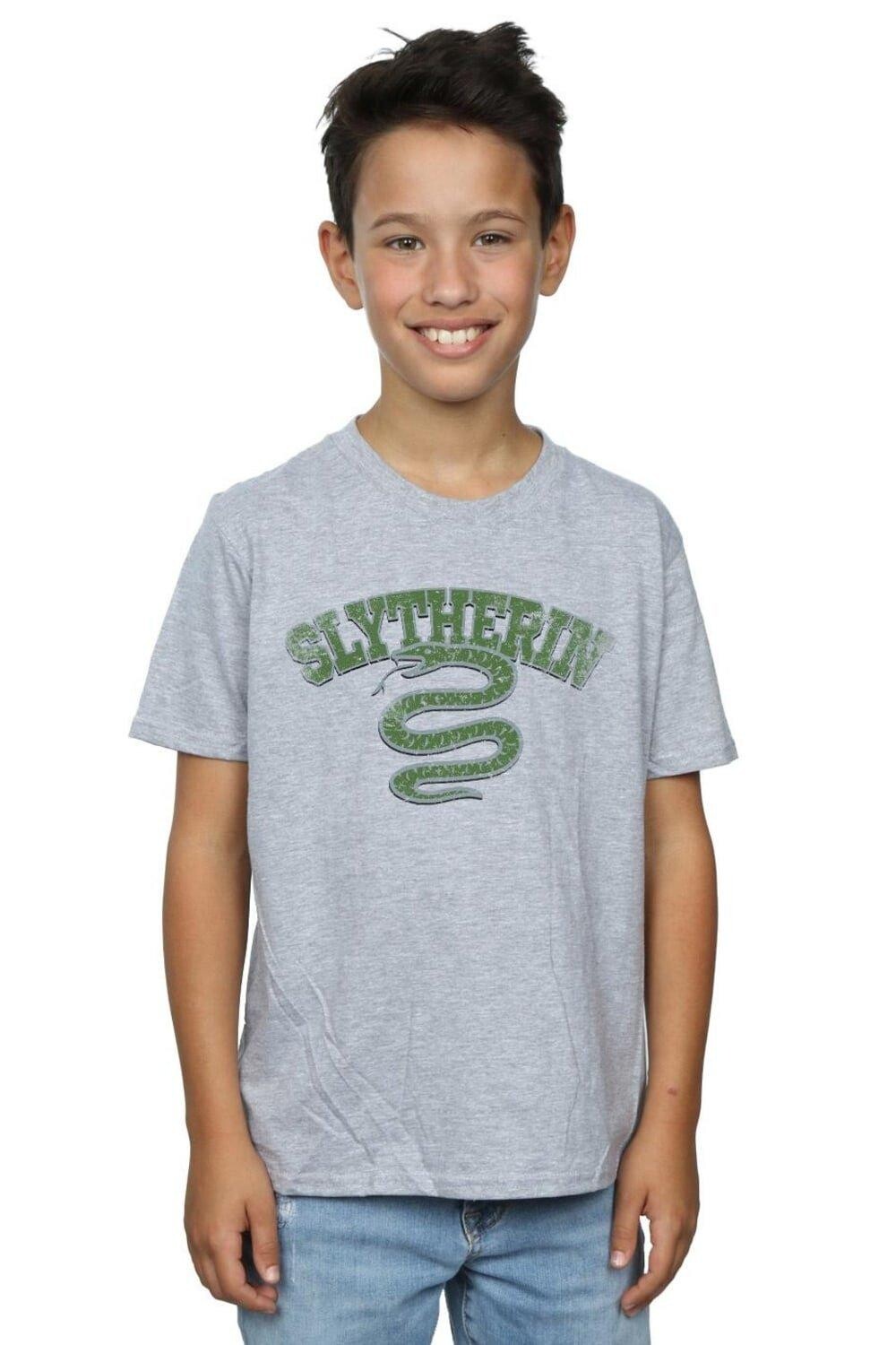 Футболка со спортивной эмблемой Слизерина Harry Potter, серый
Футболка со спортивной эмблемой Слизерина Harry Potter, серый