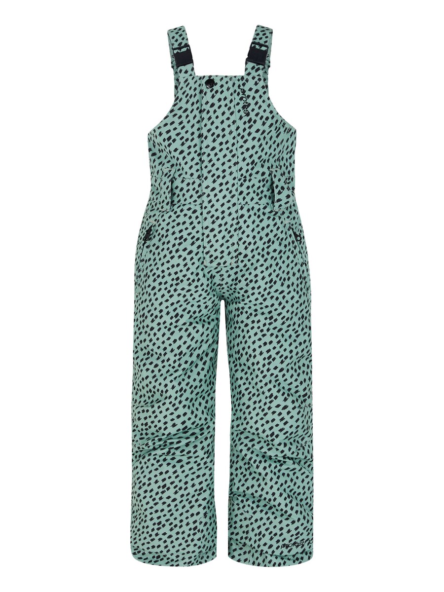 Обычные спортивные штаны PROTEST PRTTUVA TD, зеленый
Обычные спортивные штаны PROTEST PRTTUVA TD, зеленый