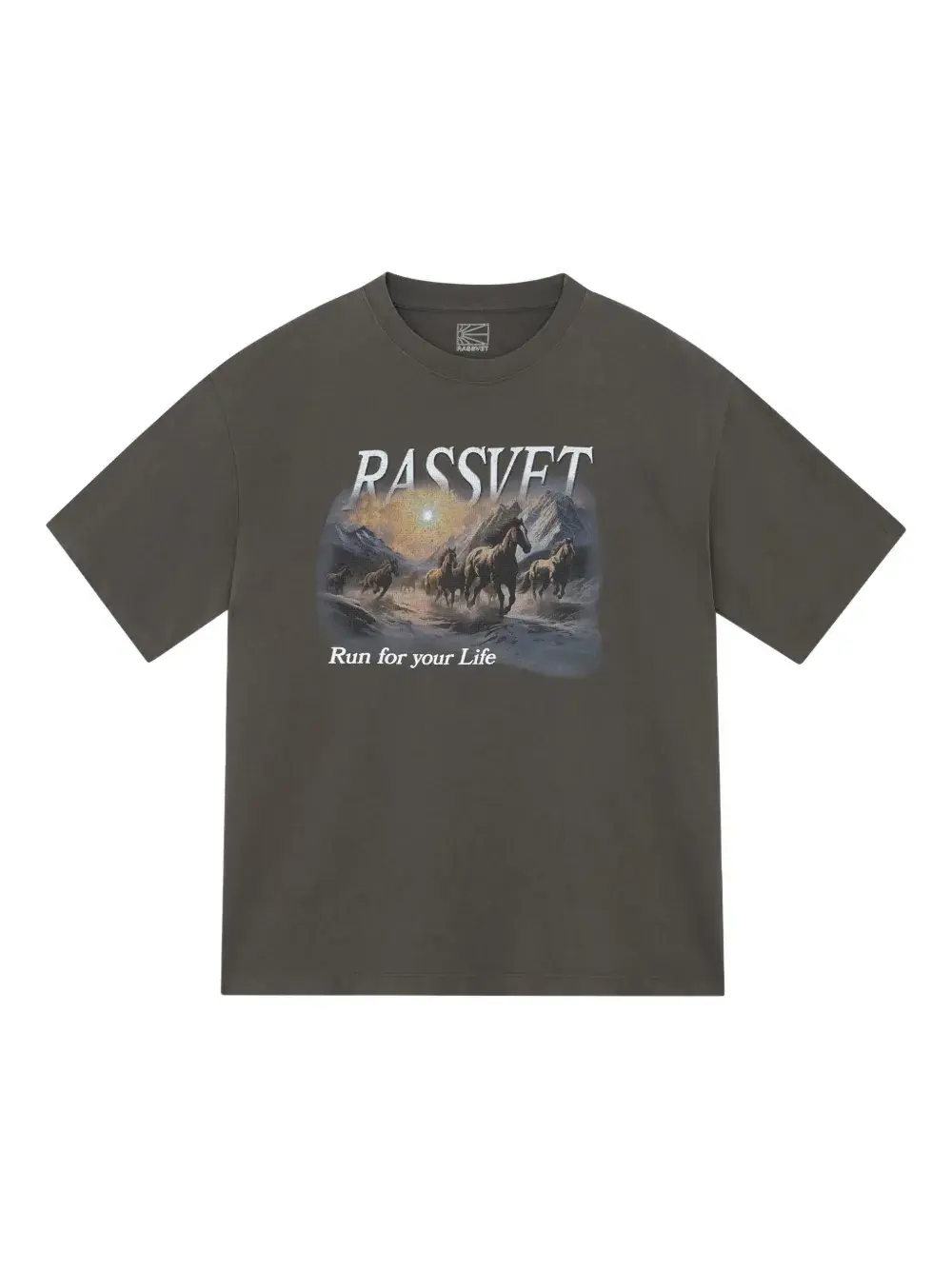 Футболка с принтом Rassvet, коричневый
Футболка с принтом Rassvet, коричневый