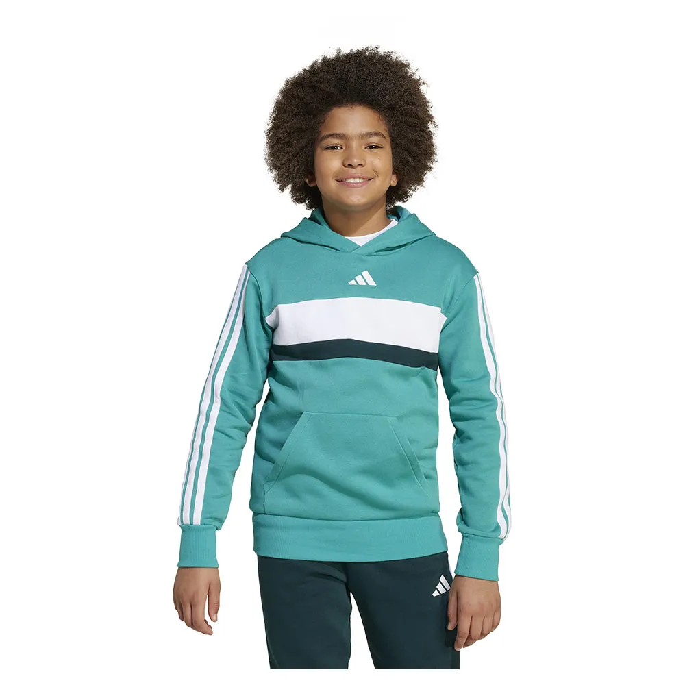 Худи adidas Seasonal Essentials Tiberio 3 Stripes Fleece, зеленый
Худи adidas Seasonal Essentials Tiberio 3 Stripes Fleece, зеленый