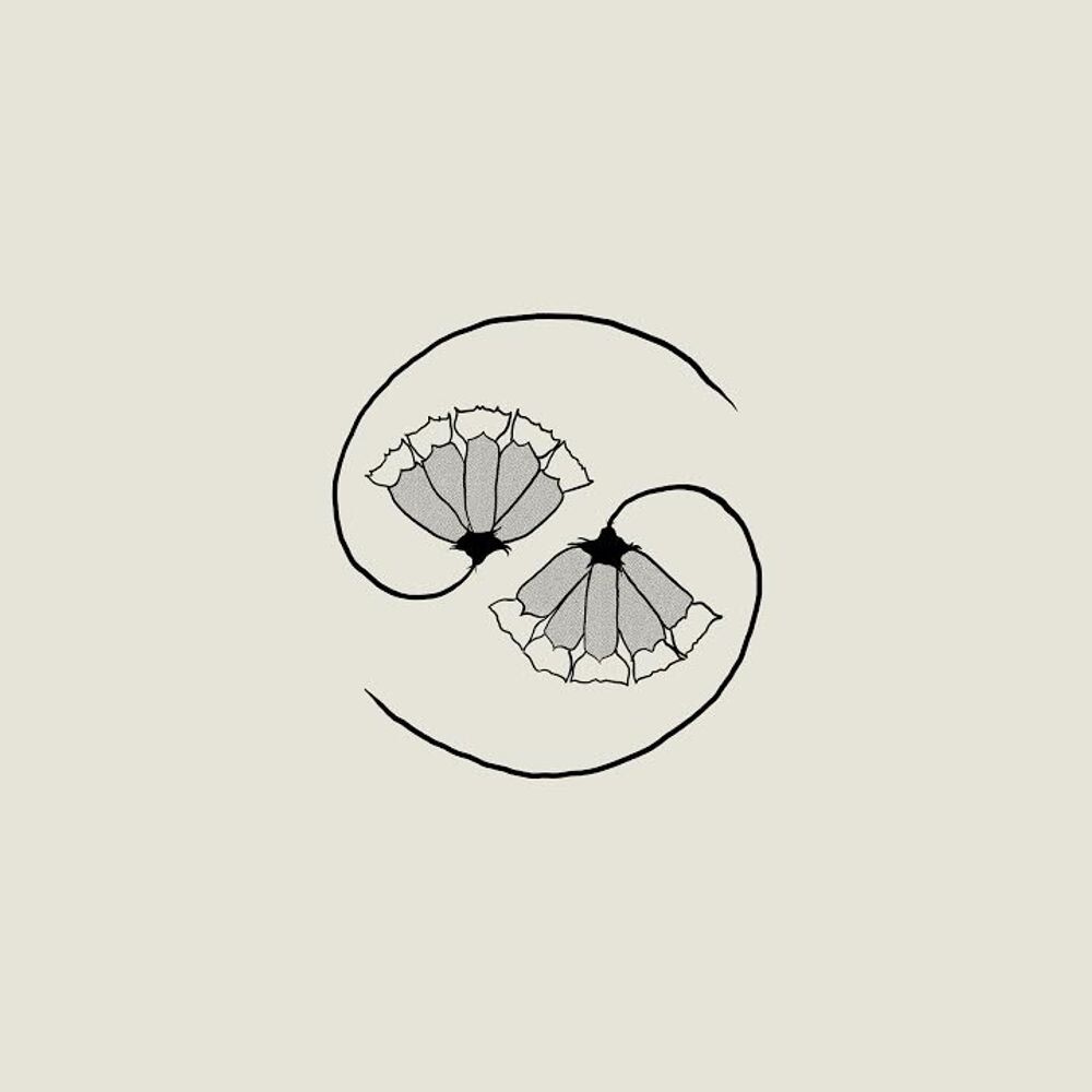 Диск CD G_d's Pee AT STATE'S END - Godspeed You! Black Emperor
Диск CD G_d's Pee AT STATE'S END - Godspeed You! Black Emperor