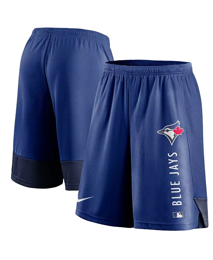 Мужские шорты для тренировок Authentic Collection Toronto Blue Jays Nike
Мужские шорты для тренировок Authentic Collection Toronto Blue Jays Nike