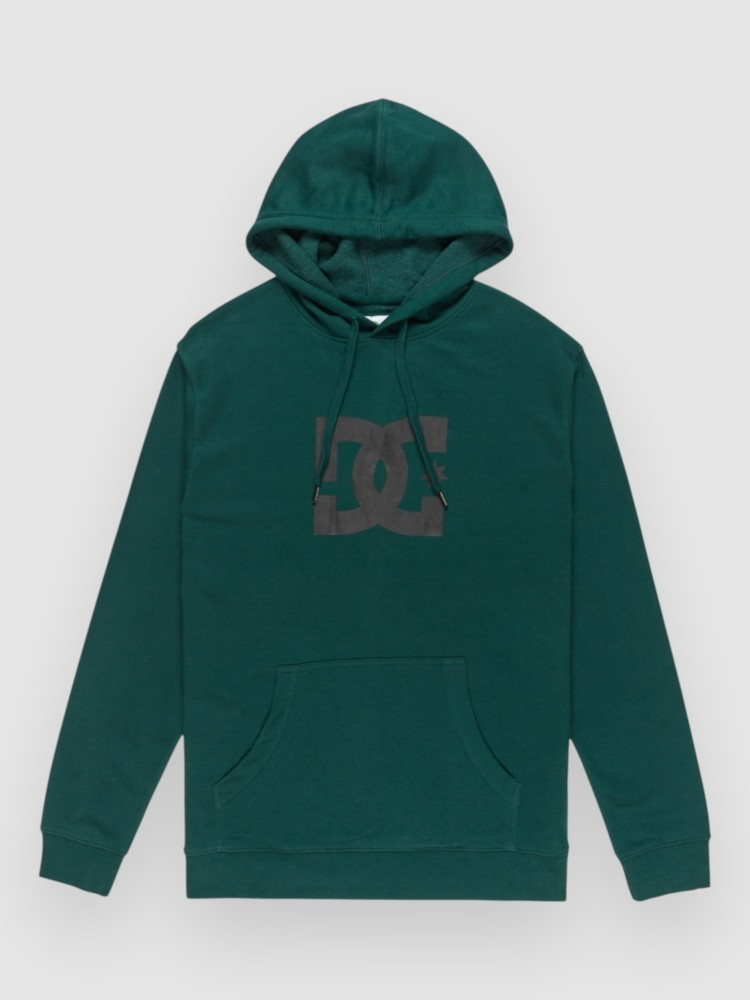 Худи DC Star Hoodie, ponderosa pine
Худи DC Star Hoodie, ponderosa pine