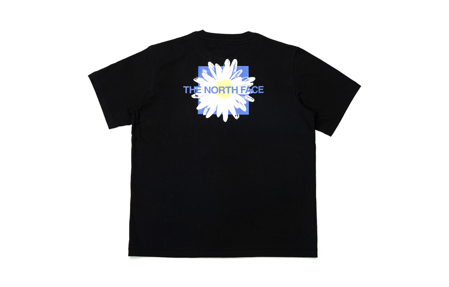 Футболка мужская City Outdoor Collection черная The North Face, черный
Футболка мужская City Outdoor Collection черная The North Face, черный