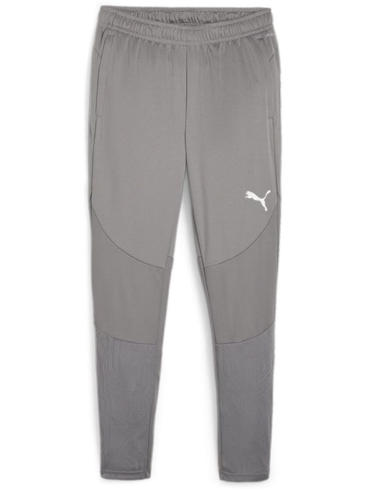 Спортивные брюки TeamFinal Training Pants серого цвета Puma
Спортивные брюки TeamFinal Training Pants серого цвета Puma