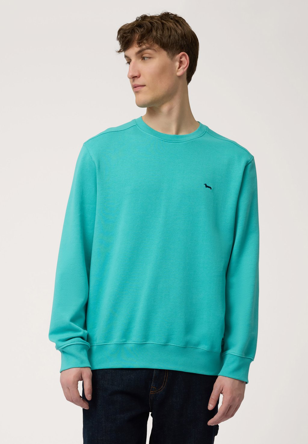 Толстовка Harmont & Blaine, светло-зеленый
Толстовка Harmont & Blaine, светло-зеленый