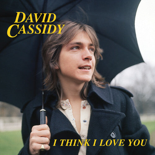 Сингл 7" Cassidy, David: I Think I Love You
Сингл 7" Cassidy, David: I Think I Love You