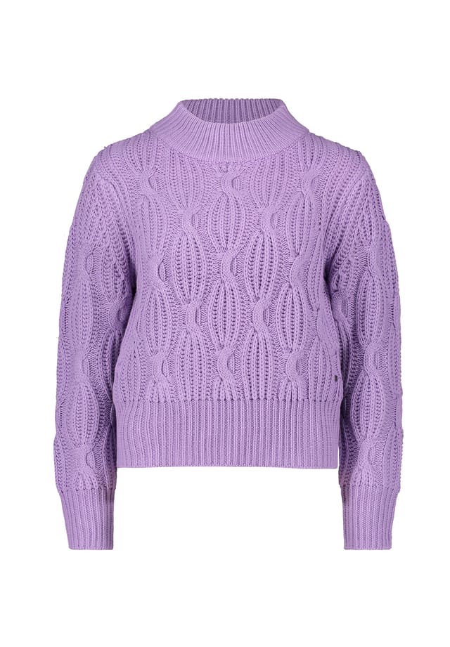 Свитер крупной вязки с воротником-стойкой Betty & Co, сиреневый
Свитер крупной вязки с воротником-стойкой Betty & Co, сиреневый