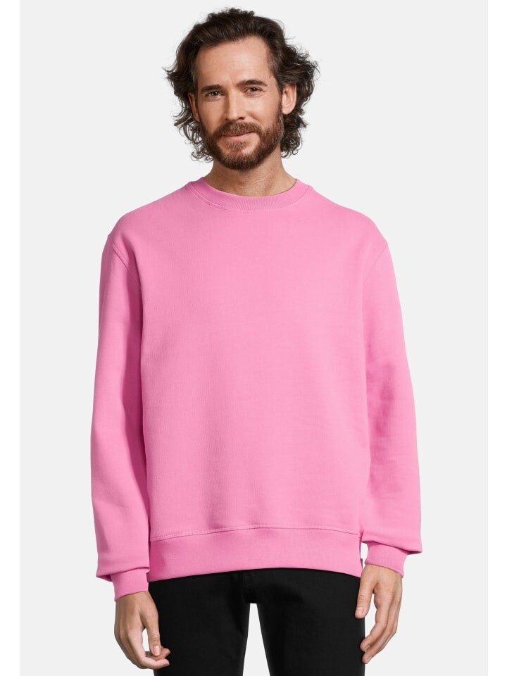 Толстовка Salzhaut, цвет blossom
Толстовка Salzhaut, цвет blossom