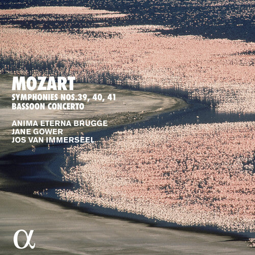 CD диск Mozart / Brugge: Bassoon Concerto
CD диск Mozart / Brugge: Bassoon Concerto