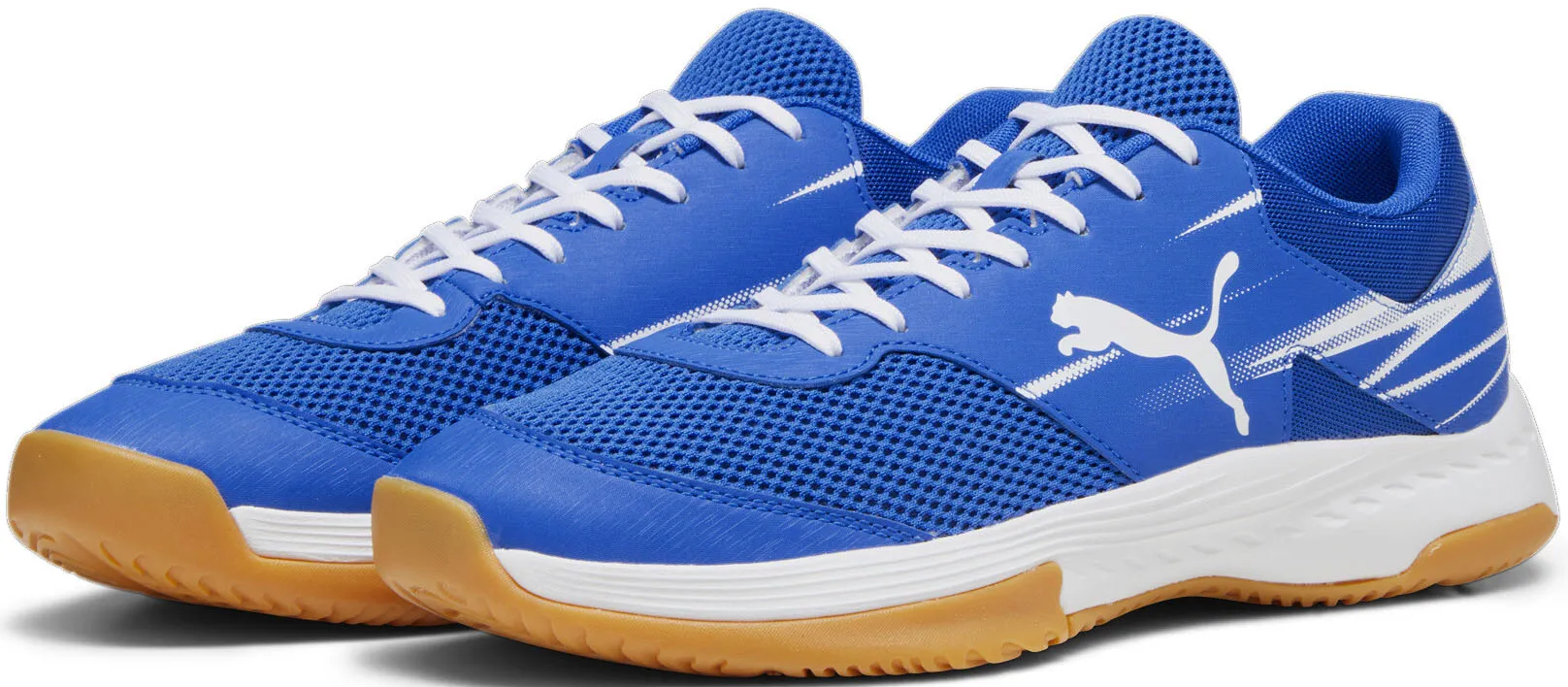 Обувь для дома PUMA "VARION II", цвет Puma Team Royal- Puma White-Gum
Обувь для дома PUMA "VARION II", цвет Puma Team Royal- Puma White-Gum