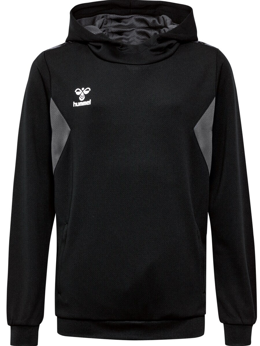 Спортивная толстовка Hummel AUTHENTIC, черный
Спортивная толстовка Hummel AUTHENTIC, черный