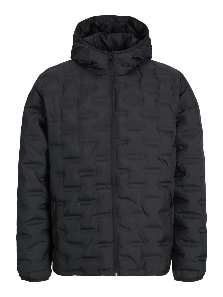 Демисезонная куртка JACK & JONES JACK & JONES JWHASTON, Black
Демисезонная куртка JACK & JONES JACK & JONES JWHASTON, Black