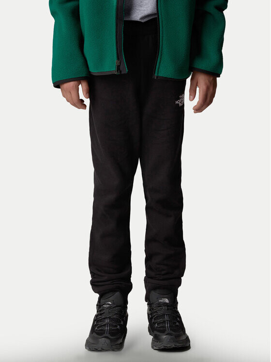 Спортивные брюки стандартного кроя The North Face, черный
Спортивные брюки стандартного кроя The North Face, черный