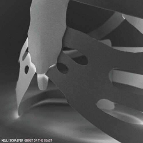 Виниловая пластинка Schaefer, Kelli: Ghost of the Beast
Виниловая пластинка Schaefer, Kelli: Ghost of the Beast