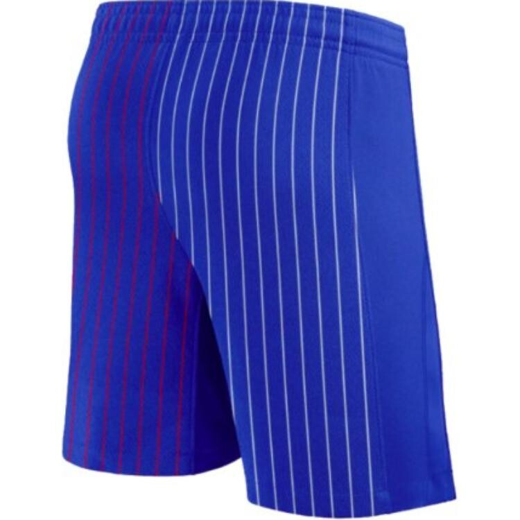 Футбольные шорты мужские ярко-синие Nike, синий
Футбольные шорты мужские ярко-синие Nike, синий