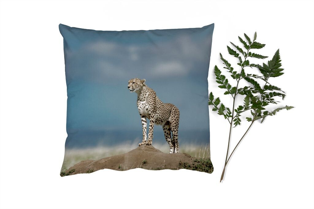 MuchoWow Leopard - Леопард в поисках - 60x60 см - чехол на подушку - хлопчатобумажная ткань - декоративные чехлы на подушки
MuchoWow Leopard - Леопард в поисках - 60x60 см - чехол на подушку - хлопчатобумажная ткань - декоративные чехлы на подушки