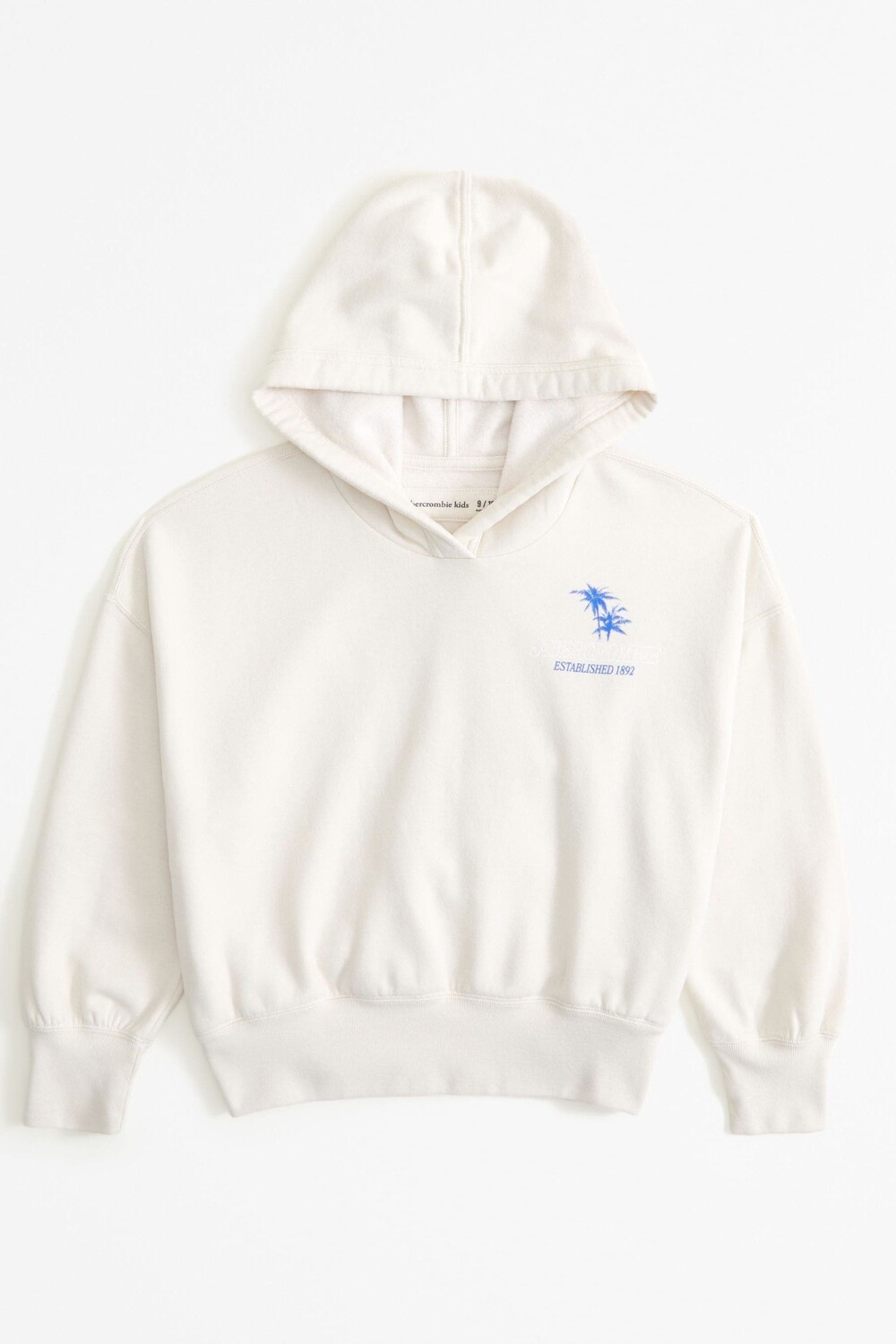 Праздничный графический принт на спине толстовка с капюшоном Abercrombie & Fitch, белый
Праздничный графический принт на спине толстовка с капюшоном Abercrombie & Fitch, белый