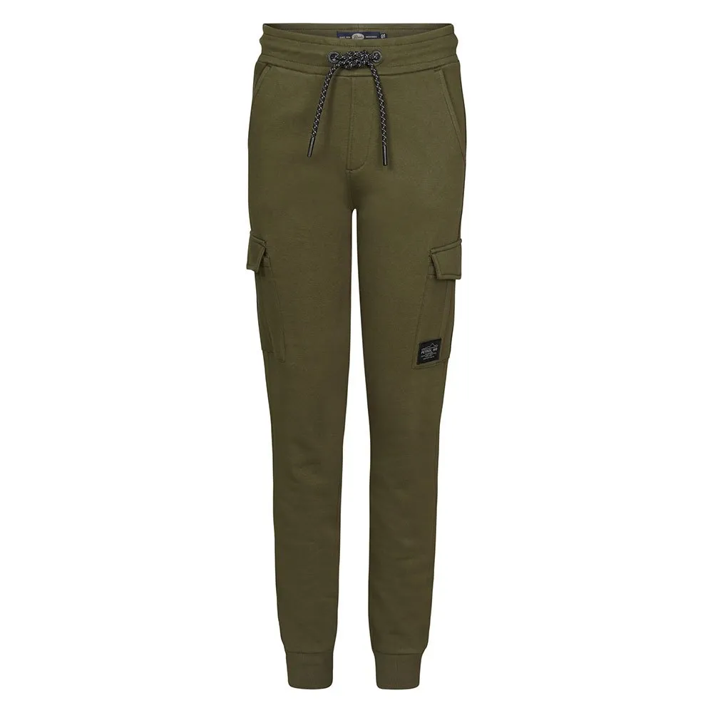 Спортивные брюки Petrol Industries B-3040-JOG595, зеленый
Спортивные брюки Petrol Industries B-3040-JOG595, зеленый