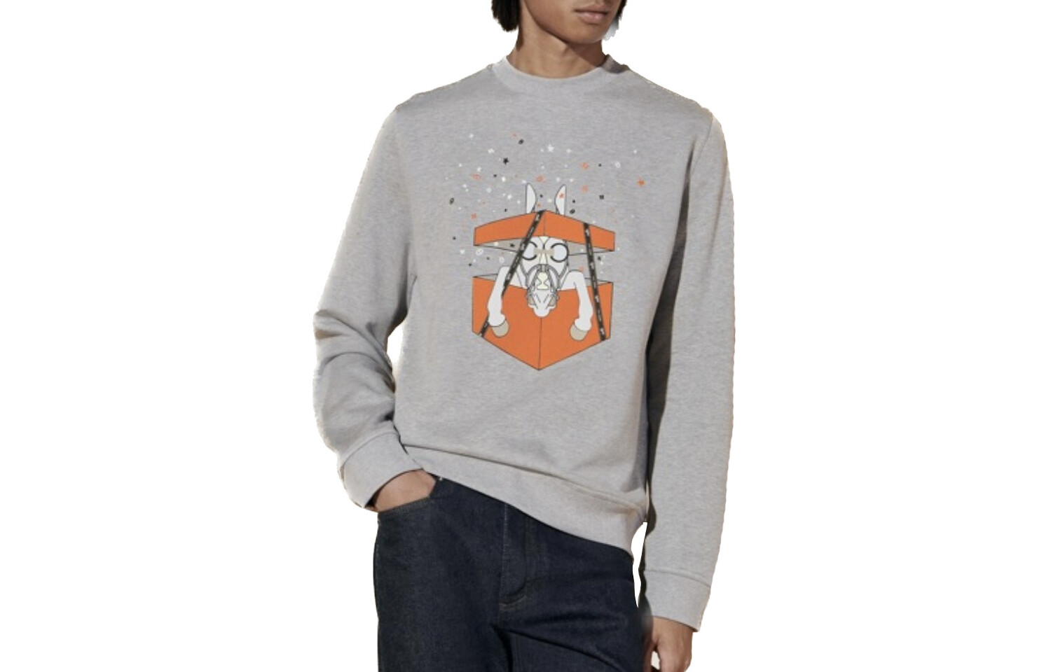 Мужская толстовка Boite Surprise в честь 100-летия Hermes, серый
Мужская толстовка Boite Surprise в честь 100-летия Hermes, серый