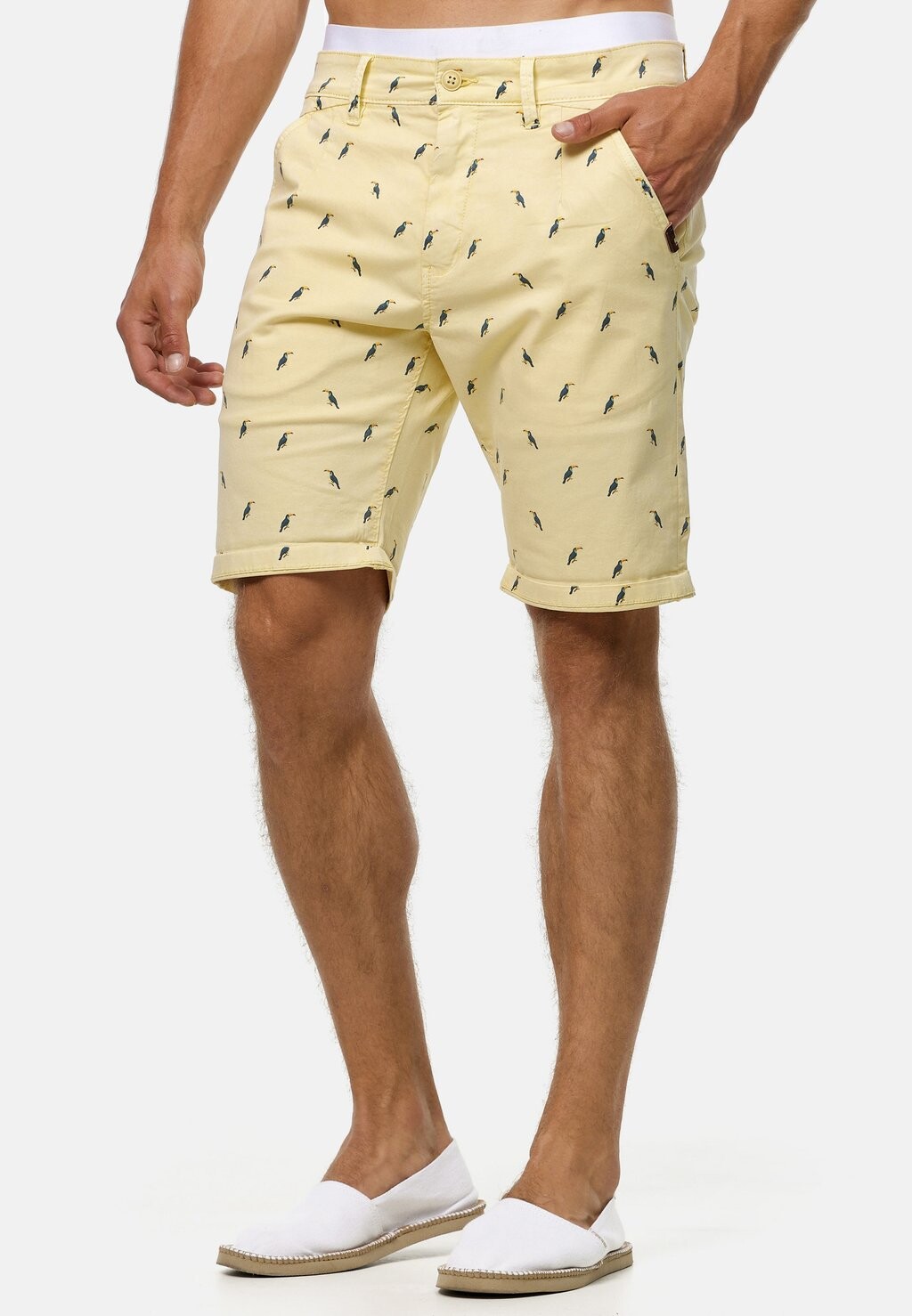 Шорты Elisa INDICODE JEANS, бледно-банановый
Шорты Elisa INDICODE JEANS, бледно-банановый