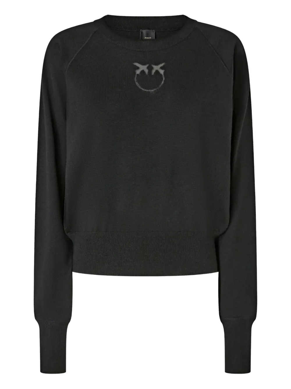 Свитер с логотипом и круглым вырезом Pinko, черный
Свитер с логотипом и круглым вырезом Pinko, черный
