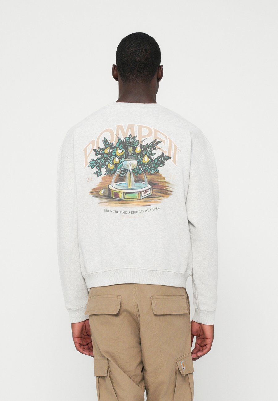 Толстовка Pompeii FOUNTAIN LIGHT CREWNECK, Grey Mélange/Grey
Толстовка Pompeii FOUNTAIN LIGHT CREWNECK, Grey Mélange/Grey
