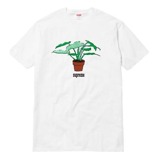 Футболка fw17 plant tee pale blue bonsai printing short sleeve white Supreme, белый
Футболка fw17 plant tee pale blue bonsai printing short sleeve white Supreme, белый