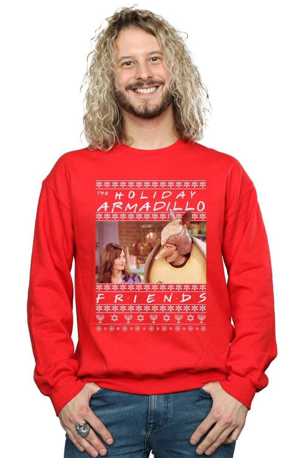 Толстовка Fair Isle Holiday Armadillo Friends, красный
Толстовка Fair Isle Holiday Armadillo Friends, красный