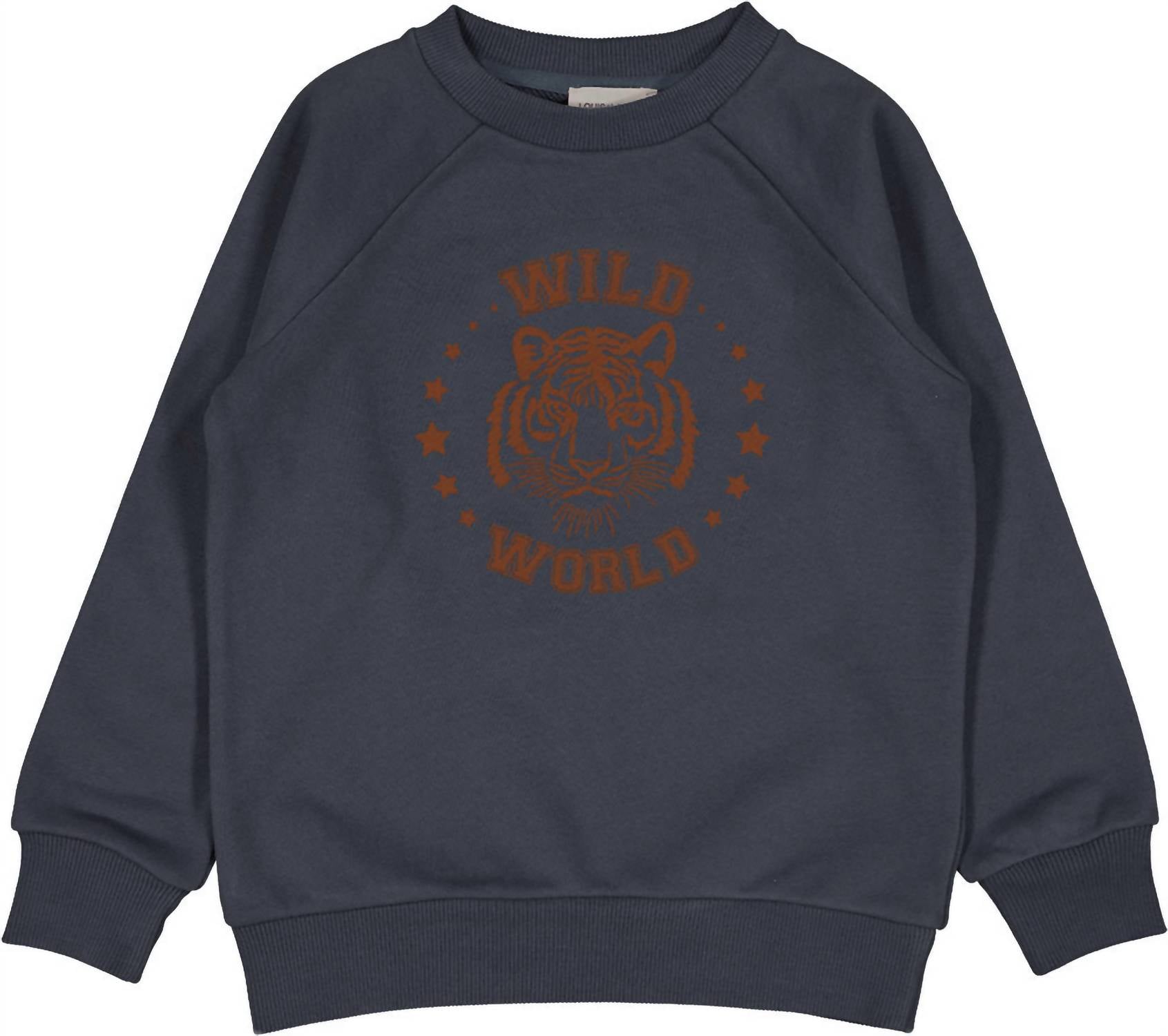 Детский свитшот James в серо-голубом LOUIS LOUISE
Детский свитшот James в серо-голубом LOUIS LOUISE