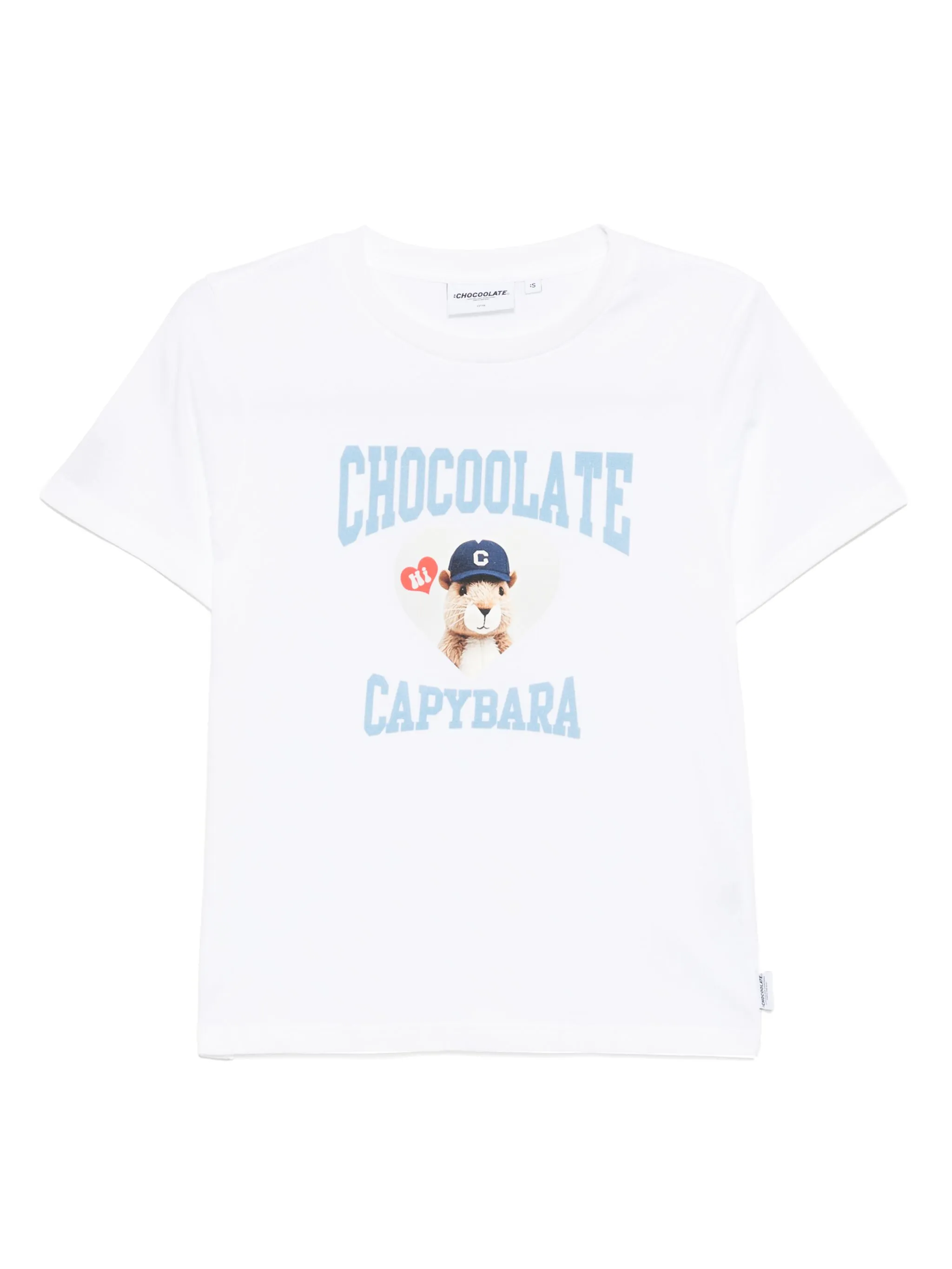 Футболка Capybara Chocoolate, белый
Футболка Capybara Chocoolate, белый