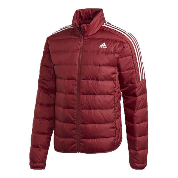 Пуховик adidas logo Printing Stand Collar Stay Warm Sports Down Jacket Red, красный
Пуховик adidas logo Printing Stand Collar Stay Warm Sports Down Jacket Red, красный