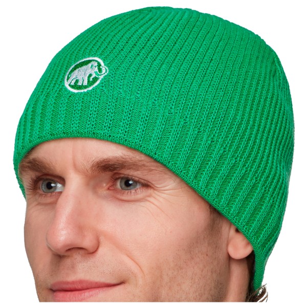 Великолепная шапочка Mammut, Pinea
Великолепная шапочка Mammut, Pinea