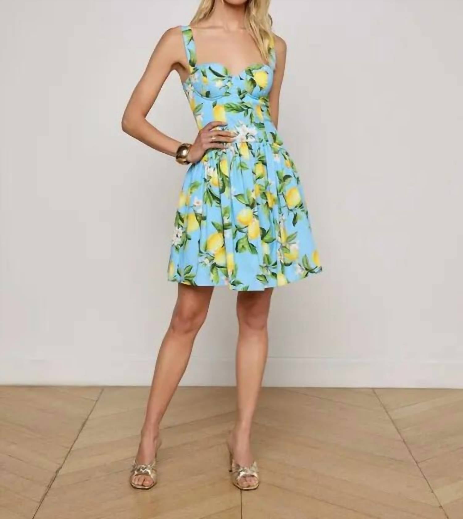 Мини-платье Jai с заниженной талией и косточками небесно-голубого/желтого цвета с цветочным принтом лимона L'Agence, Sky Blue/Yellow Floral Lemon
Мини-платье Jai с заниженной талией и косточками небесно-голубого/желтого цвета с цветочным принтом лимона L'Agence, Sky Blue/Yellow Floral Lemon