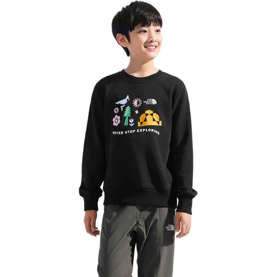 Детский свитшот THE NORTH FACE, черный
Детский свитшот THE NORTH FACE, черный