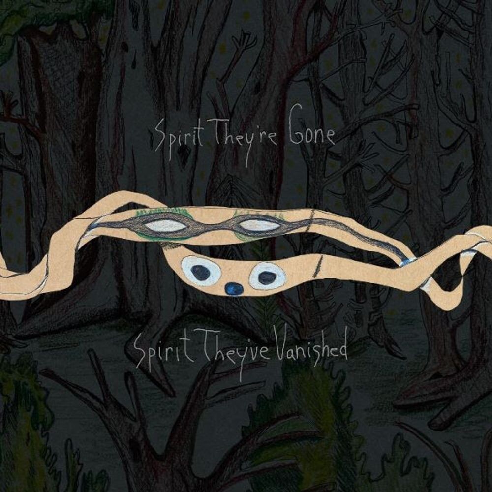 Виниловая пластинка LP Spirit They're Gone Spirit They've Vanished - Animal Collective
Виниловая пластинка LP Spirit They're Gone Spirit They've Vanished - Animal Collective