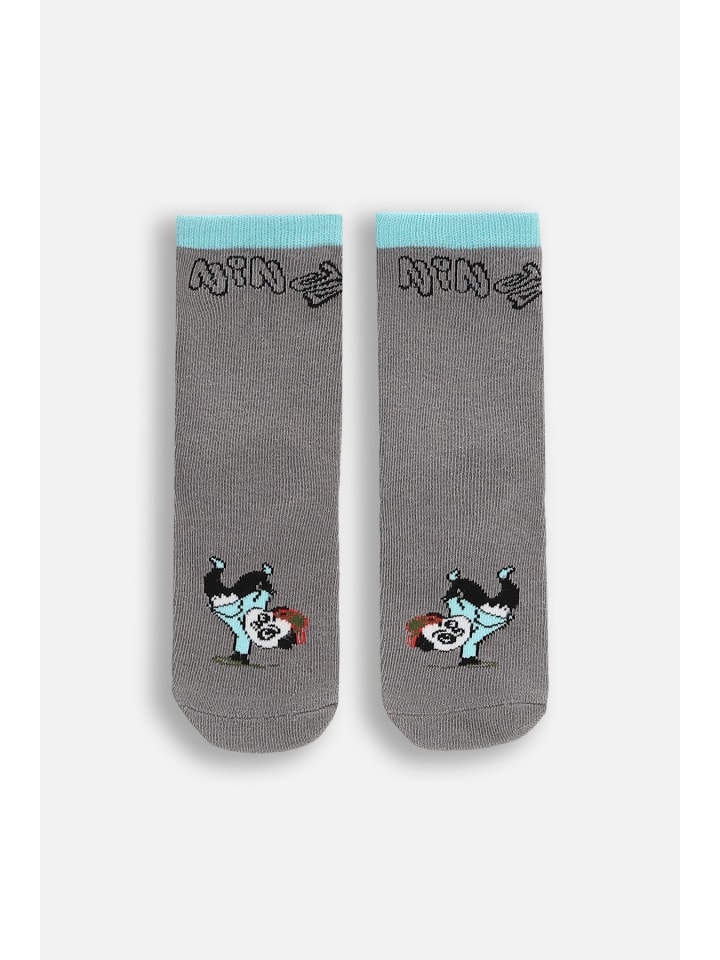 Coccodrillo Разноцветные носки
Coccodrillo Разноцветные носки