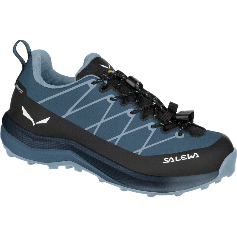 Детская обувь Wildfire 2 PTX Salewa, синий 
Детская обувь Wildfire 2 PTX Salewa, синий