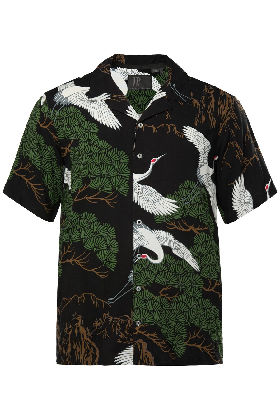 Рубашка на пуговицах классического кроя JP1880, черный
Рубашка на пуговицах классического кроя JP1880, черный