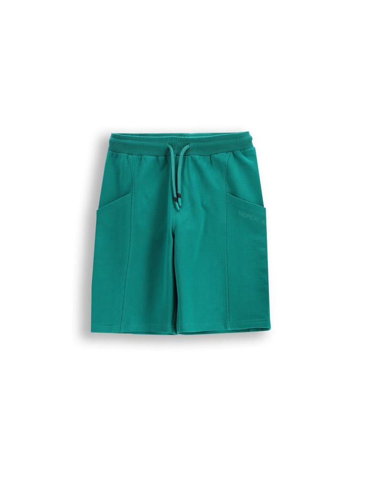 зеленые шорты Coccodrillo
зеленые шорты Coccodrillo