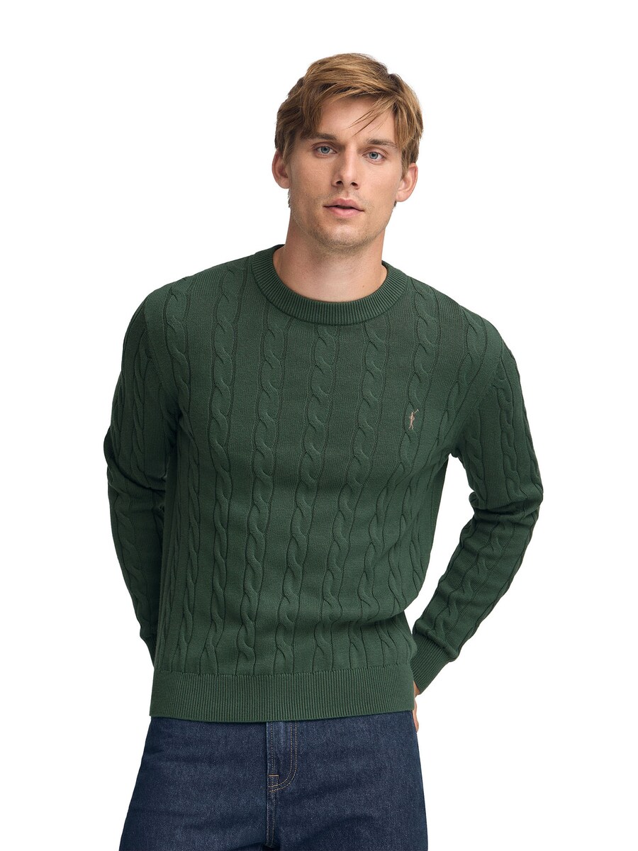Свитер Polo Club, темно-зеленый
Свитер Polo Club, темно-зеленый