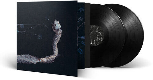 Виниловая пластинка Tenhi: Maaaet
Виниловая пластинка Tenhi: Maaaet