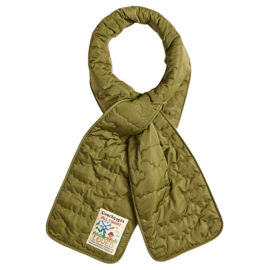 COACH Полиэстеровые шарфы Unisex Green
COACH Полиэстеровые шарфы Unisex Green