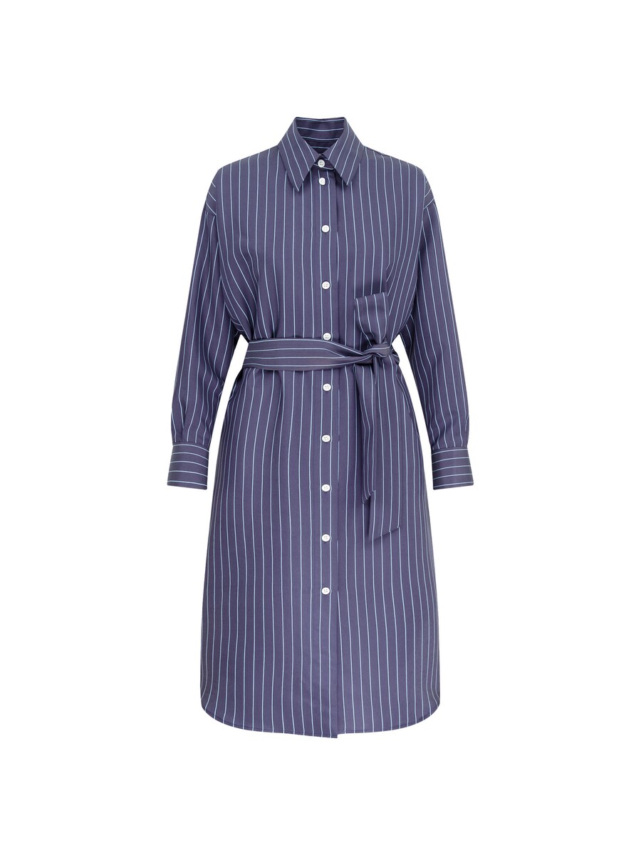 Платье-рубашка SEIDENSTICKER The Statement Prints, светло-синий/темно-синий
Платье-рубашка SEIDENSTICKER The Statement Prints, светло-синий/темно-синий