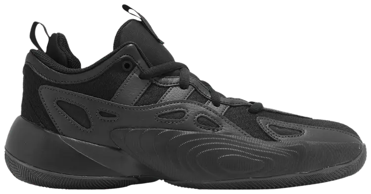 Кроссовки adidas Trae Unlimited 2 'Black Carbon', черный
Кроссовки adidas Trae Unlimited 2 'Black Carbon', черный