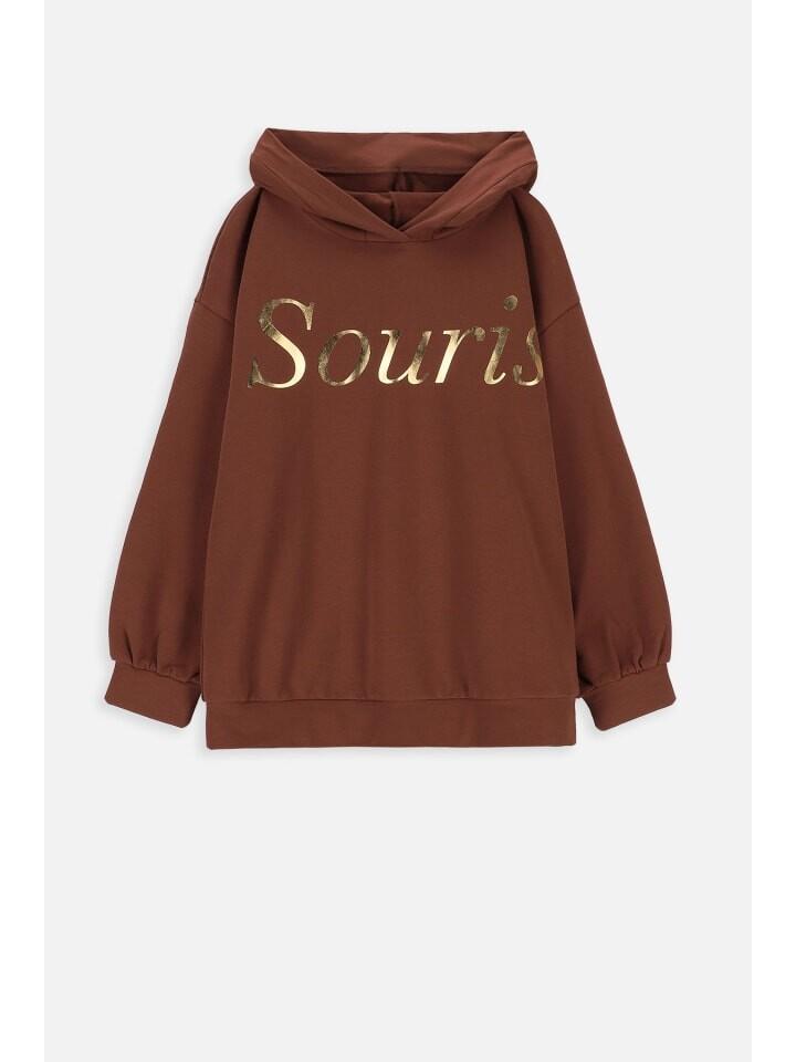 Толстовка Coccodrillo Sweatshirt, коричневый
Толстовка Coccodrillo Sweatshirt, коричневый