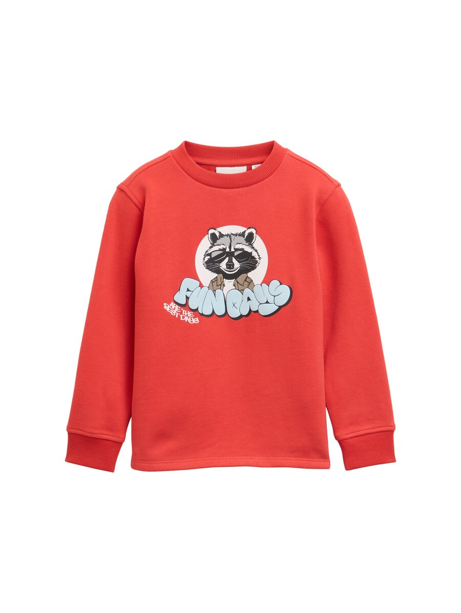 Рубашка TOM TAILOR, кроваво-красный
Рубашка TOM TAILOR, кроваво-красный