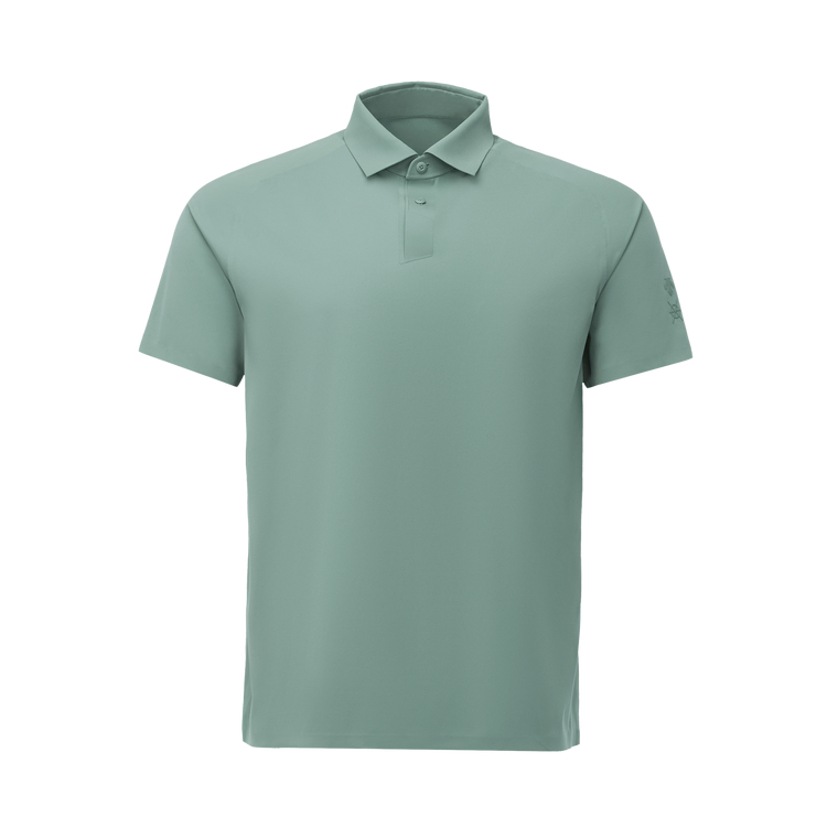 Мужская поло для городских поездок dualis DESCENTE, зеленый
Мужская поло для городских поездок dualis DESCENTE, зеленый