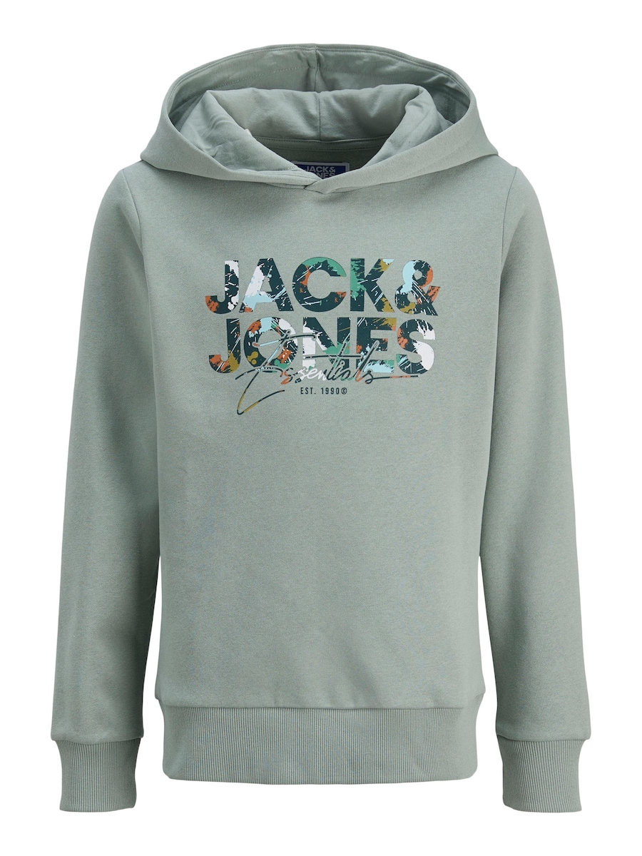 Толстовка JACK & JONES, пастельно-зеленый
Толстовка JACK & JONES, пастельно-зеленый